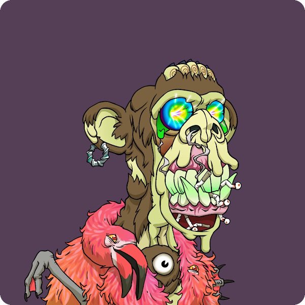 Doc Baron S. Breeze tweet media