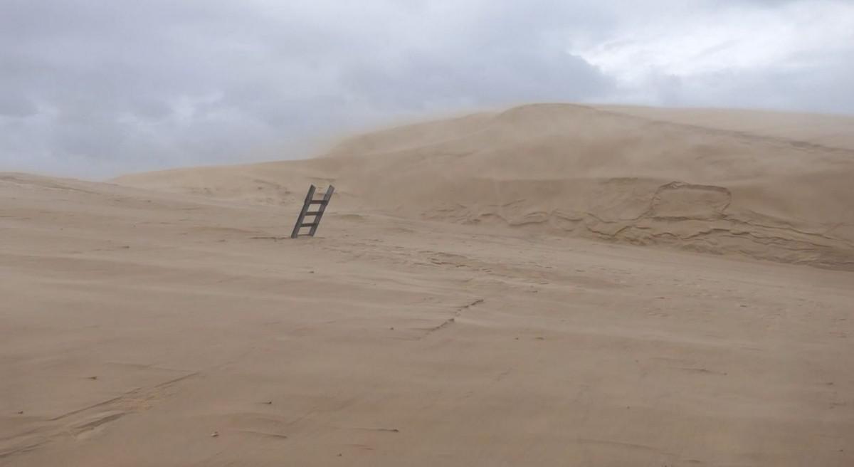 Quand la dune du Pilat recrache un escalier enfoui sous le sable… sudouest.fr/gironde/la-tes…