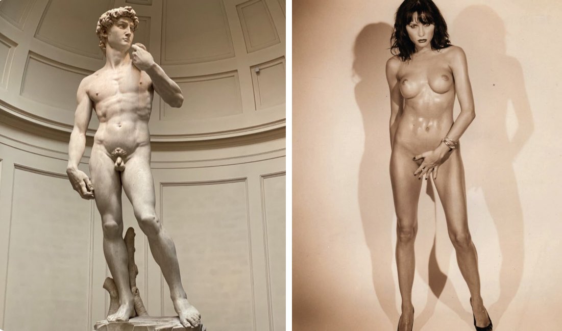Which one of these is porn — Michelangelo’s masterpiece David or Donald’s wife Melania?