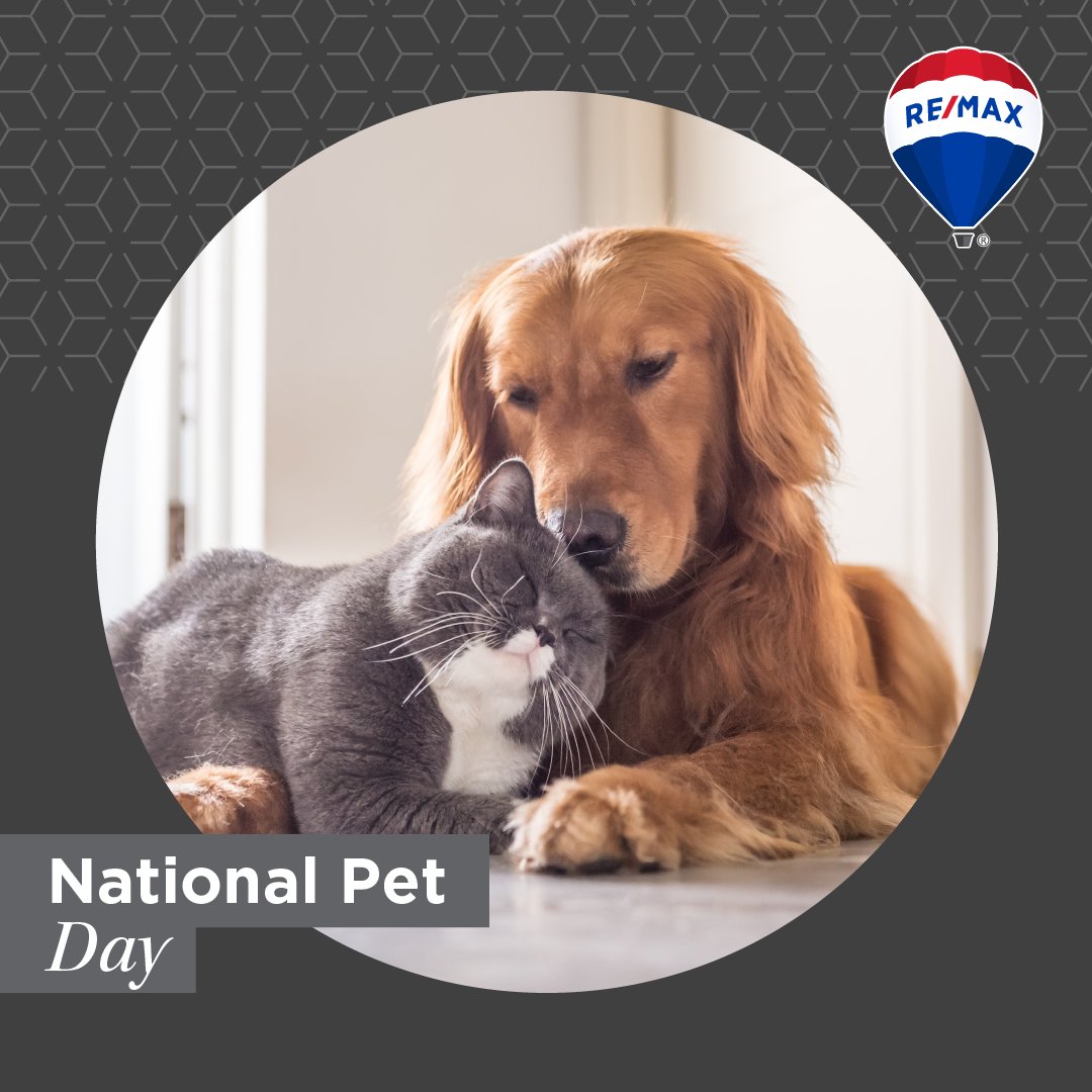 REMAXRealtyOK1's tweet photo. Happy National Pet Day! Show off your furry friends below! 🐶😺
.
.
.
.
#NationalPetDay #REMAXhustle #shoplocal #realestate #oklahoma https://t.co/aMuj3zY585
