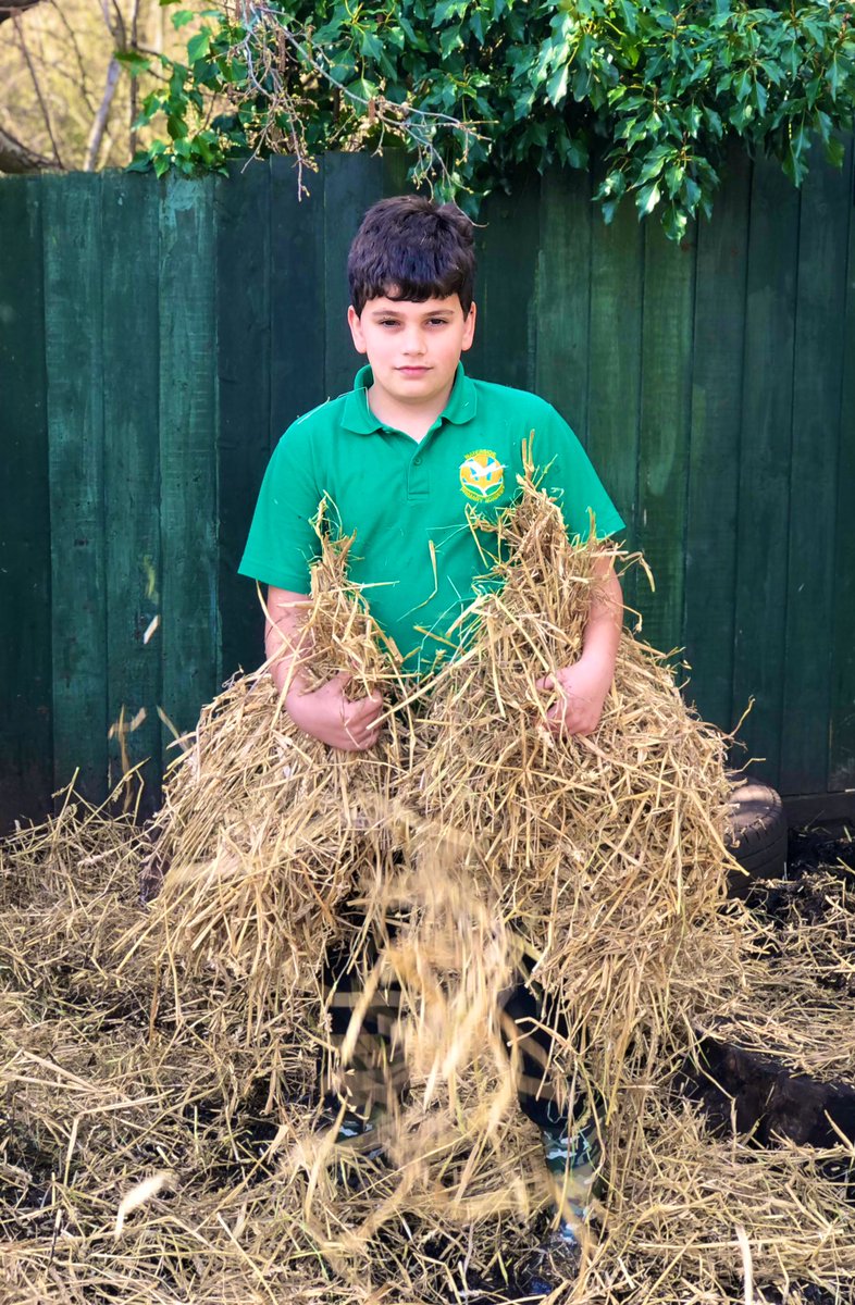 The Waterside Pigs tweet media