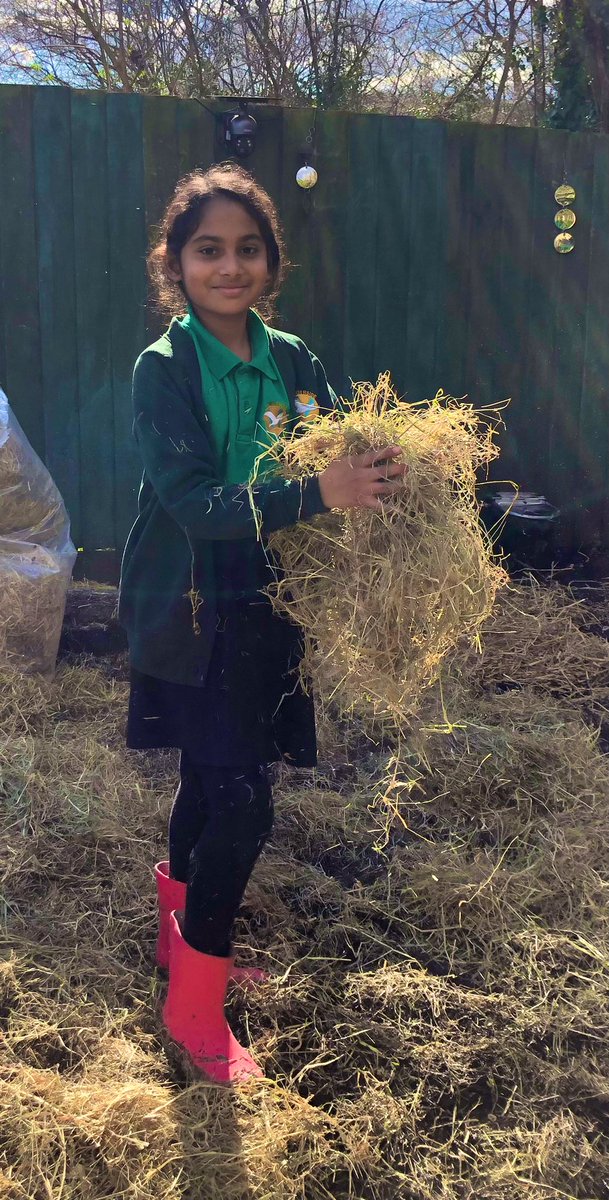 The Waterside Pigs tweet media