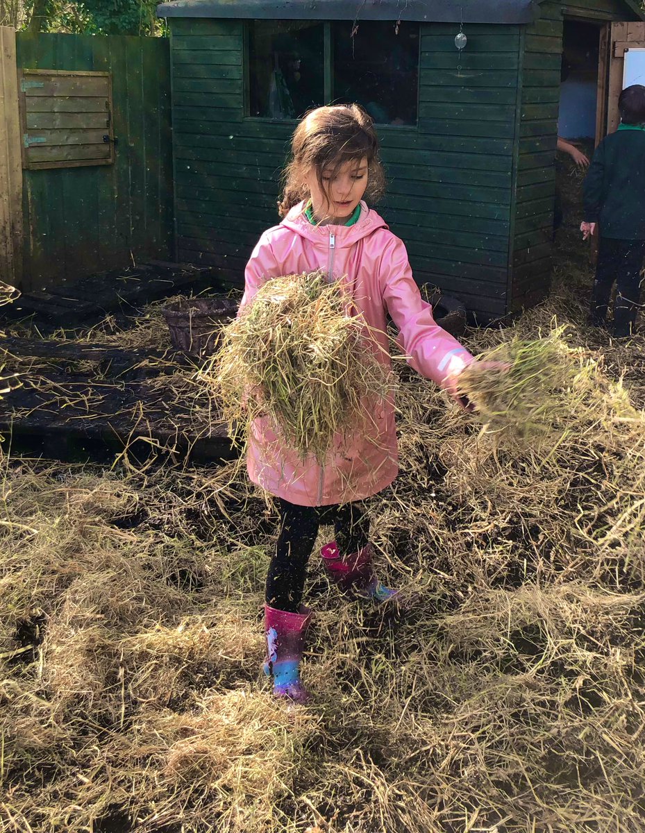 The Waterside Pigs tweet media