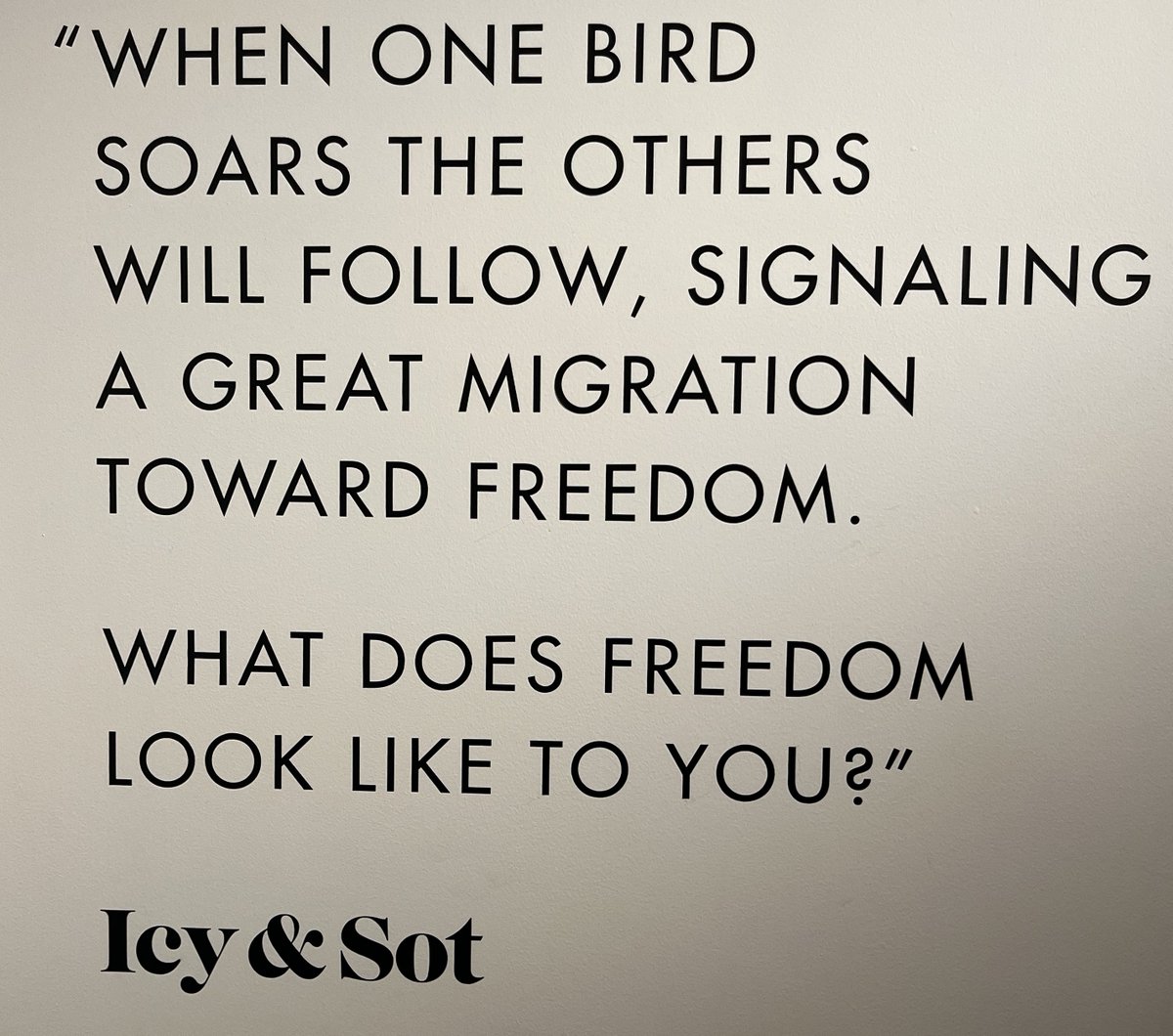 ecmccourt's tweet photo. "When one bird soars, the others will follow, signaling a great migration towards freedom. What does freedom look like to you?"
— Icy &amp; Sot

#bird #soaring #birdsflocktogether #migration #freedom #birdsmigrating #flyaway #soars #whatdoesfreedomlooklike #truefreedom #influence https://t.co/2baguCozQa