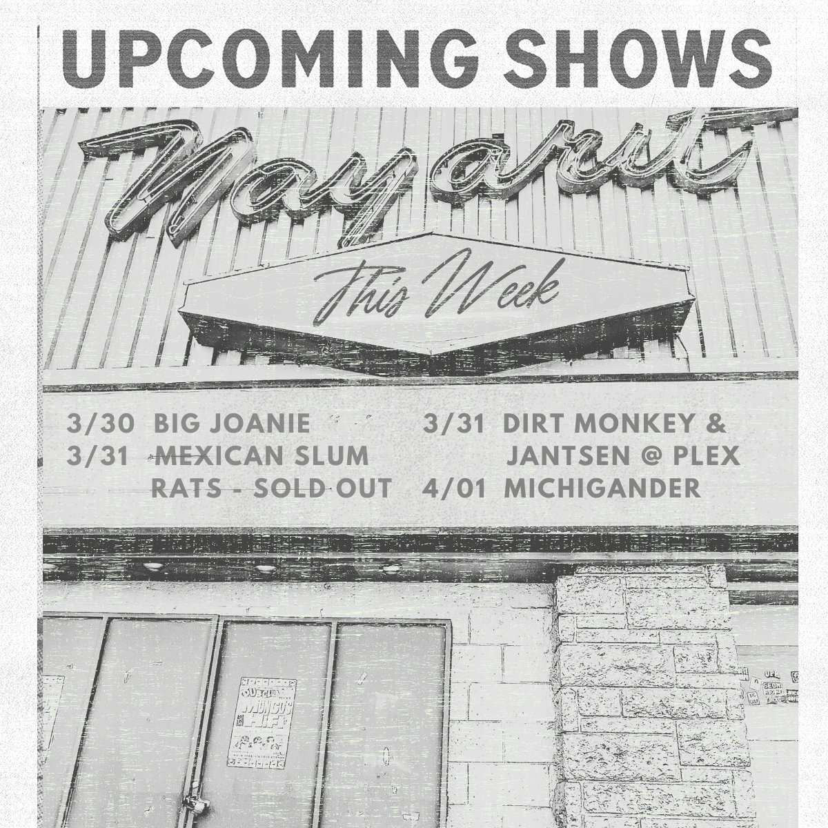 The Echo + Echoplex tweet media