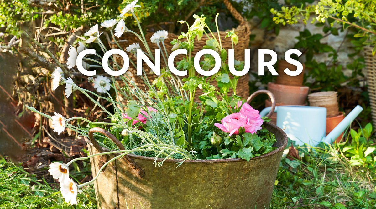 Truffaut's tweet photo. ☀️#Concours
En ce début de printemps, quoi de mieux qu'une carte cadeau de 100€ pour pouvoir se faire plaisir en magasins ? ✨ (2 gagnants)
Pour tenter de la remporter :
🌱Follow @Truffaut
🌱Dites-nous ce que vous aimez faire au printemps sous ce tweet
TAS le 31/03 🍀 https://t.co/K13wdpTxq3