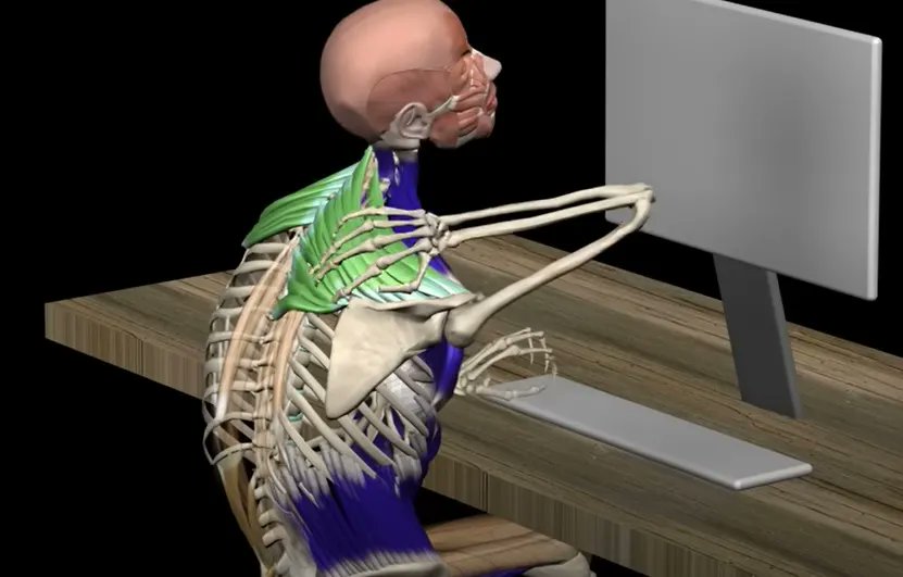 PeakErgonomics's tweet image. • Healthy Work Solutions to Prolonged Sitting •
Prolonged sitting can cause a variety of physical problems, including pain. 
buff.ly/3lnwkkl 
#ProlongedSitting #Ergonomics #WorkplaceHealth
(Credit: Muscle and Motion, June 7, 2020, 2:08)