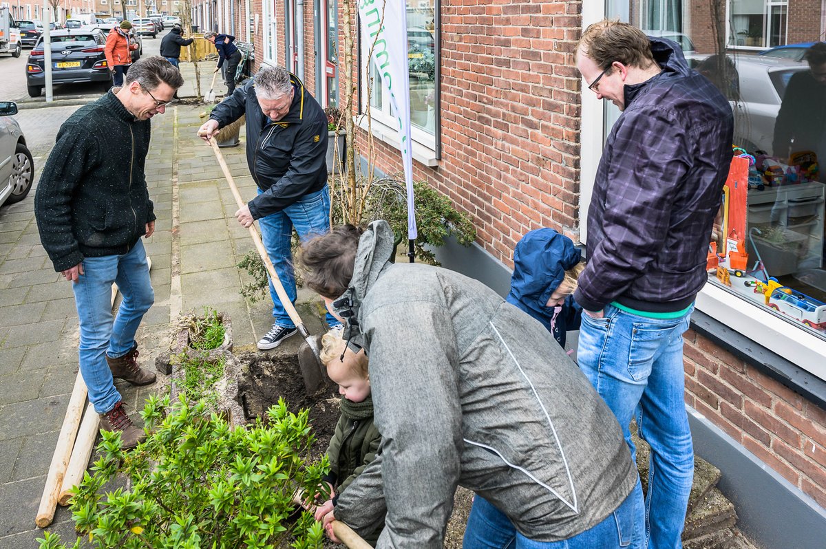 🌳 Samen met <a href="/parteon/">Parteon</a> organiseerden we boomplantdagen in de Zeeheldenbuurt in Wormerveer. Wethouder <a href="/povharrie/">Harrie van der Laan</a> hielp bewoners bij het bomen planten: “Afgelopen jaren zijn de woningen gerenoveerd. Nu gaan we samen met bewoners de tuinen groener maken.” 🏡