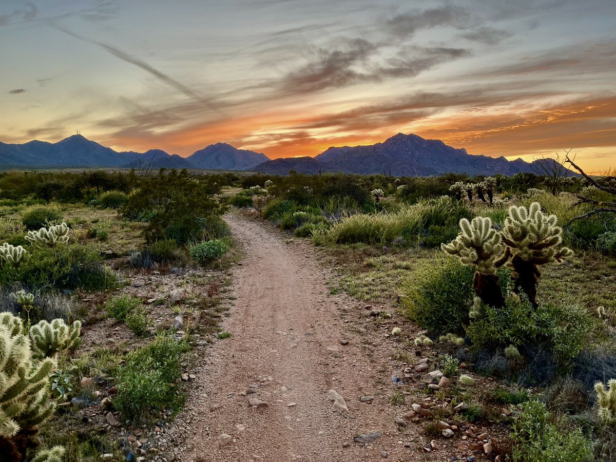 Joan Meiners, Ph.D. 🐝🚴‍♀️ tweet media