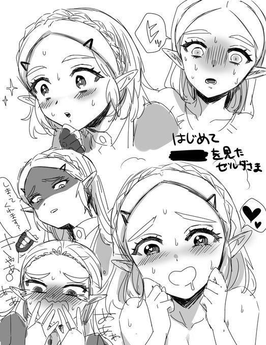はじめて何かを見たゼルダ様の落書き 