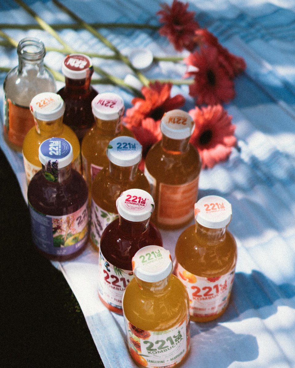 kombucha221bc's tweet photo. buy ☝️, get ☝️ @publix until 3/29

Who doesn't love getting a ✌️ for one? 🥂

#bogo #kombucha #kombucha221bc #womenowned #florida #supportlocal #moodboard #weeklyinspo #publix #publixbogo #bogo https://t.co/XNE6QsOVjV