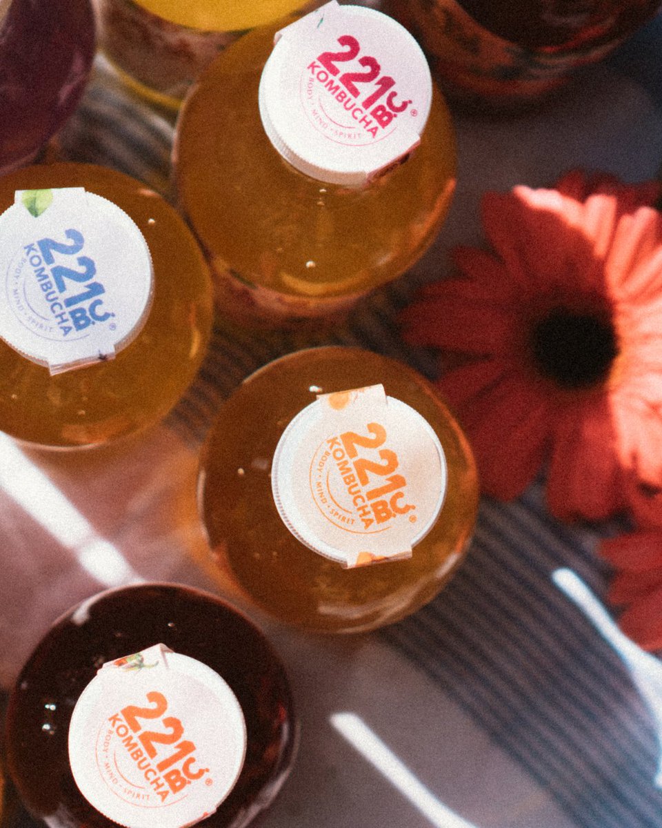 kombucha221bc's tweet photo. buy ☝️, get ☝️ @publix until 3/29

Who doesn't love getting a ✌️ for one? 🥂

#bogo #kombucha #kombucha221bc #womenowned #florida #supportlocal #moodboard #weeklyinspo #publix #publixbogo #bogo https://t.co/XNE6QsOVjV