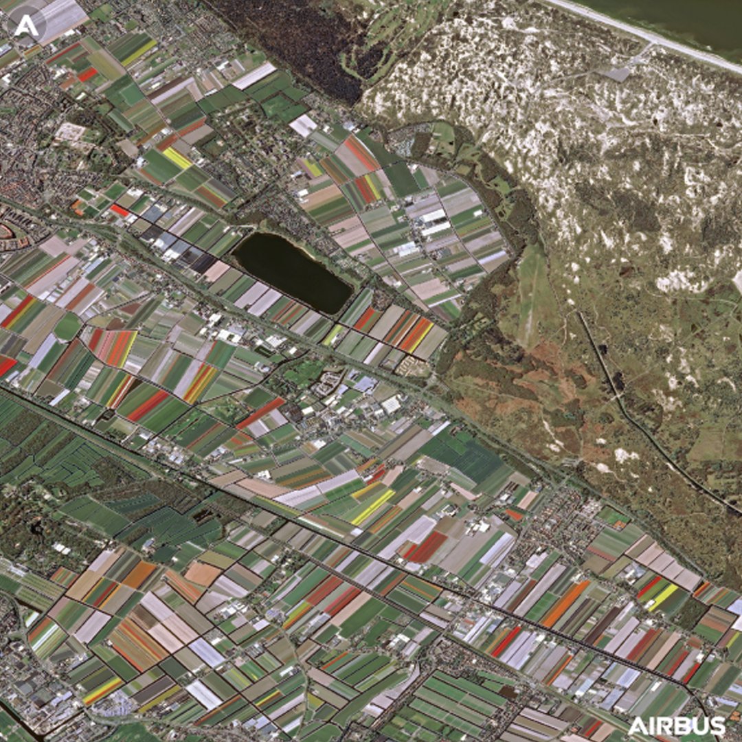 spelfie_ltd's tweet photo. Flower Fields in Hoofddorp 🌷

Spring has sprung, we had to repost this incredible picture captured by @AirbusSpace Pléiades Constellation 🛰

Just look at the detail captured in this satellite image 🤯

#satelliteimagery #satellite #space #spacetech #holland https://t.co/BaMhIPNEMI