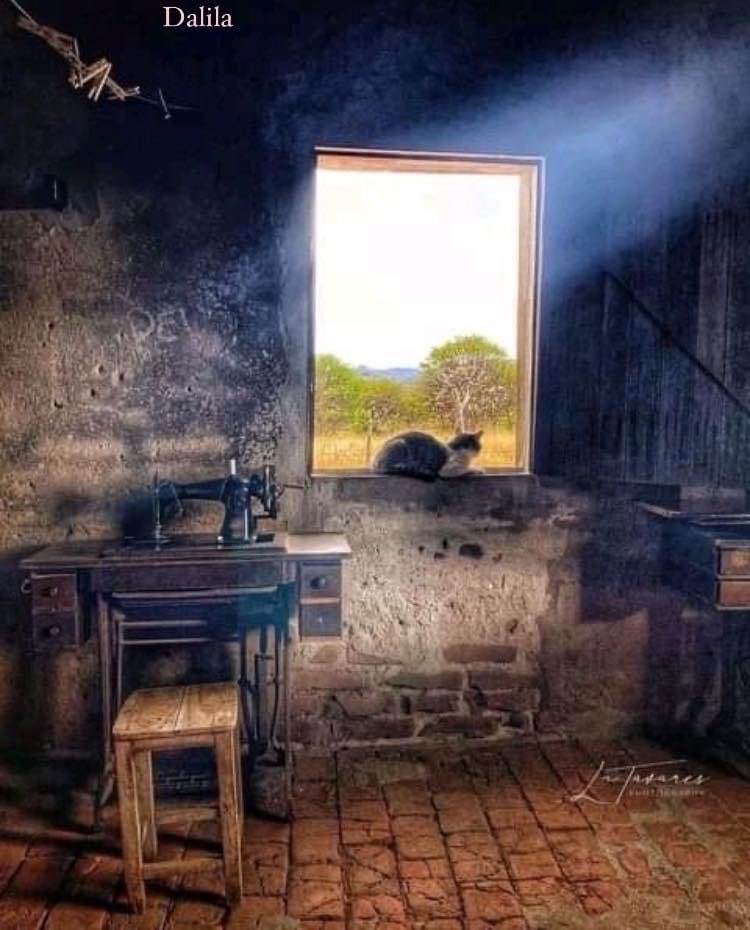 NATURALEZA (@naturalezav3) on Twitter photo 