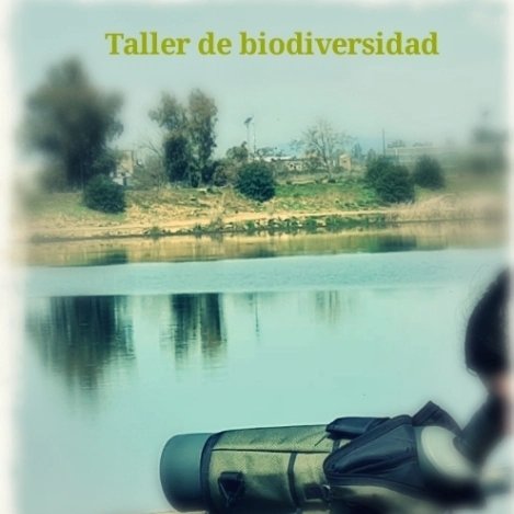 IES Bioclimático tweet media