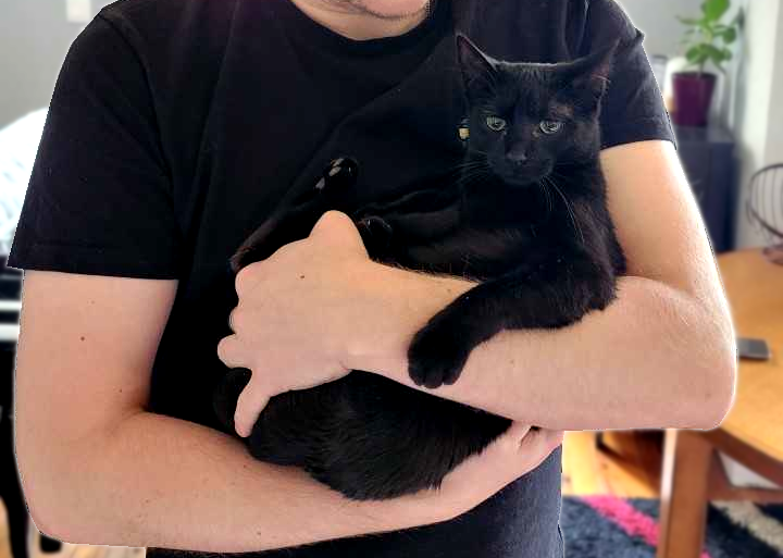 2badGames's tweet photo. J'en profite pour vous présenter mon nouveau petit chat qui rejoint 2BAD GAMES. Elle s'appelle TAPHY ! (prénom donné par la SPA) 😅😻🔥
#2badgames #chat #chatnoir https://t.co/YDbKu83nF2
