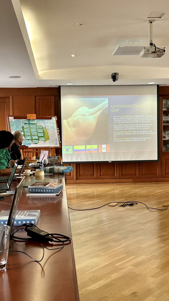 TainaLN_'s tweet photo. #DiplomaticLife: one day you’re debating the prohibition of nuclear weapons; the next day you’re discussing the conservation of South American River Dolphins. 😅☢️🐬 https://t.co/GWW9PA6paW