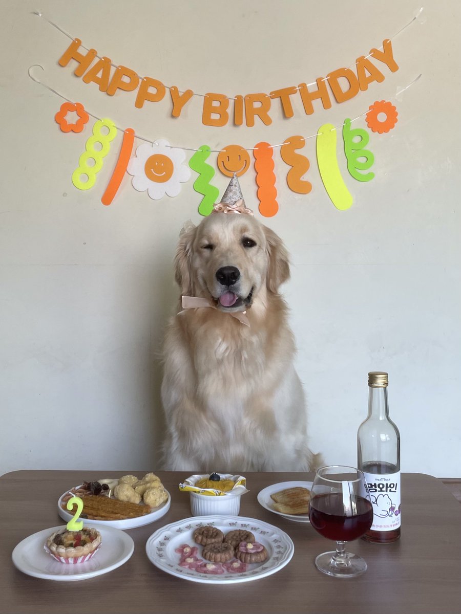 butterchive's tweet photo. 선물 준 언니들 짱 덕분에 버터 완젼 행복해요🐶
#HAPPYBUTTERDAY
#버터야생일축하해
#0328BUTTERDAY https://t.co/NtjCryOueH