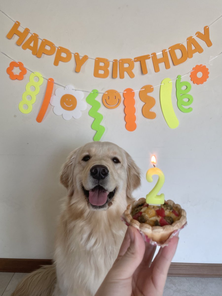 butterchive's tweet photo. 선물 준 언니들 짱 덕분에 버터 완젼 행복해요🐶
#HAPPYBUTTERDAY
#버터야생일축하해
#0328BUTTERDAY https://t.co/NtjCryOueH