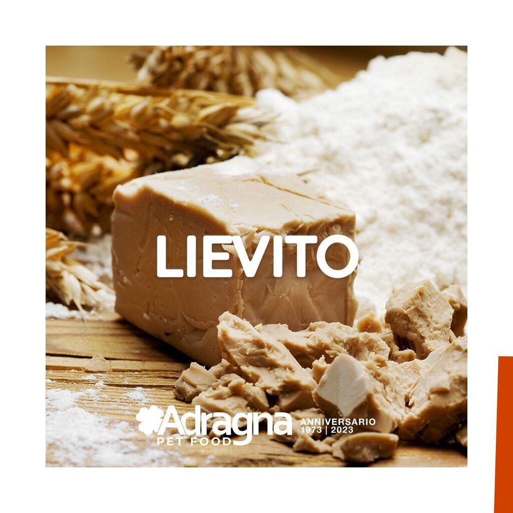 AdragnaPetFood's tweet photo. Il lievito nel pet food ha un posto molto importante. Sebbene sia un ingrediente meno conosciuto, contiene nutrienti essenziali che contribuiscono a una dieta equilibrata e sana per i tuoi animali domestici.
Negli ultimi anni, la presenza di lievito nel cibo secco per cani e… https://t.co/SZVWVhUDr9