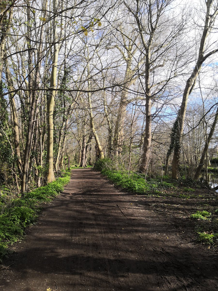 Cruisecred's tweet photo. It really is glorious out! Almost took my jacket off ππ
#sunshine #nojacket #walking https://t.co/nnPpYLp8DB