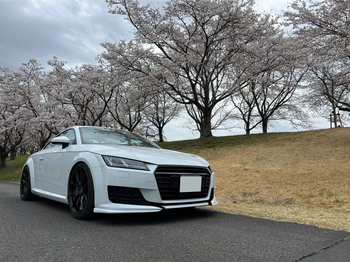y2_23t19's tweet photo. 桜好きっ
ててちゃん×桜❤️やばっ
#Audi #TT8s #桜と愛車 https://t.co/i6LR7ajMp7