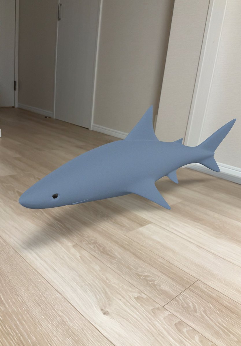 syllobene12's tweet image. まわすいらすとにAR機能を追加しました。
お部屋にサメが！
#まわすイラスト #3dcg #modelviewer #ar