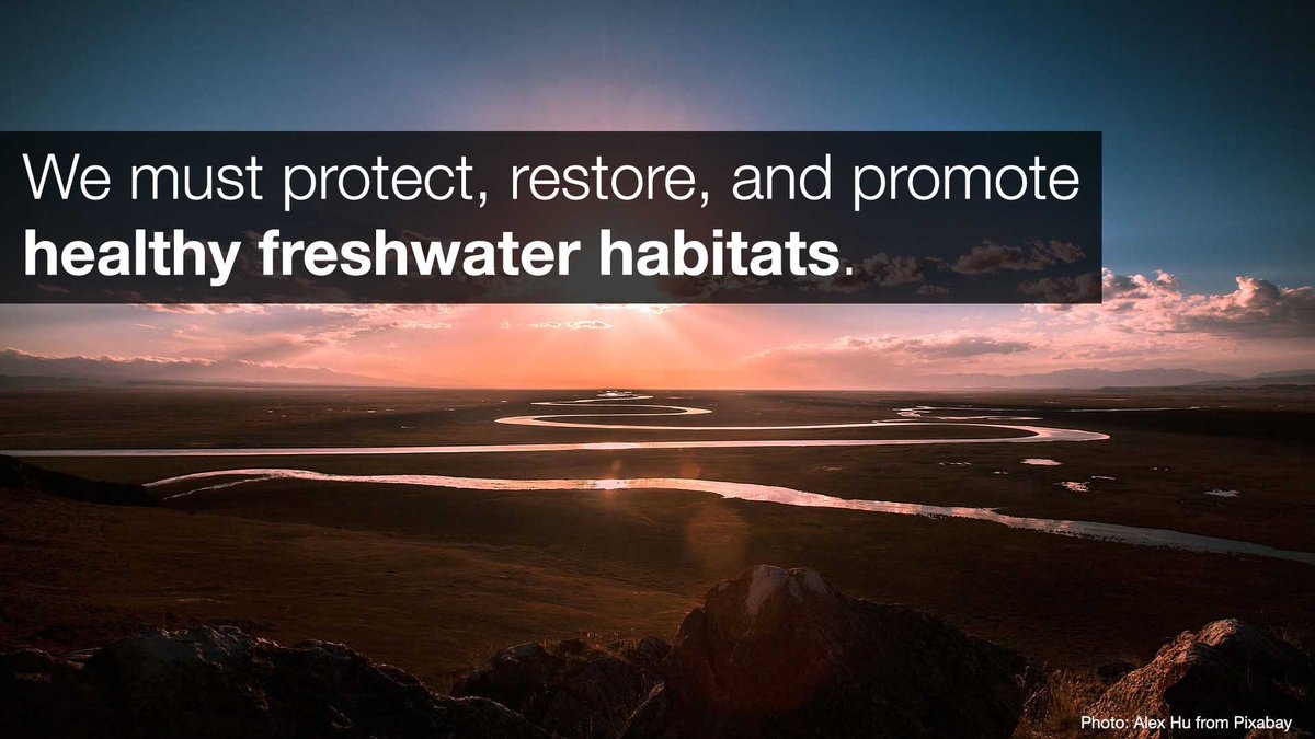 IUCN's tweet image. &quot;Water underpins our progress on climate, biodiversity, and ultimately, sustainable development.&quot; 

Sonia Peña Moreno, Director of IUCN’s International Policy Centre, addressing the #UN2023WaterConference.

#WaterAction