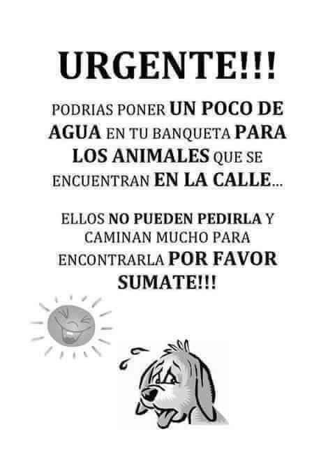 Por favor pongan  agua