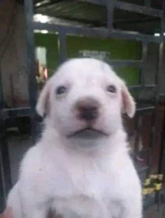 carmeliiru's tweet image. Buenos y bonitos días, que sea una gran semana para todos 🙌🏽✨ #TodoPoderoso me mmmmama esa versión de Mrs Love 🫶🏼