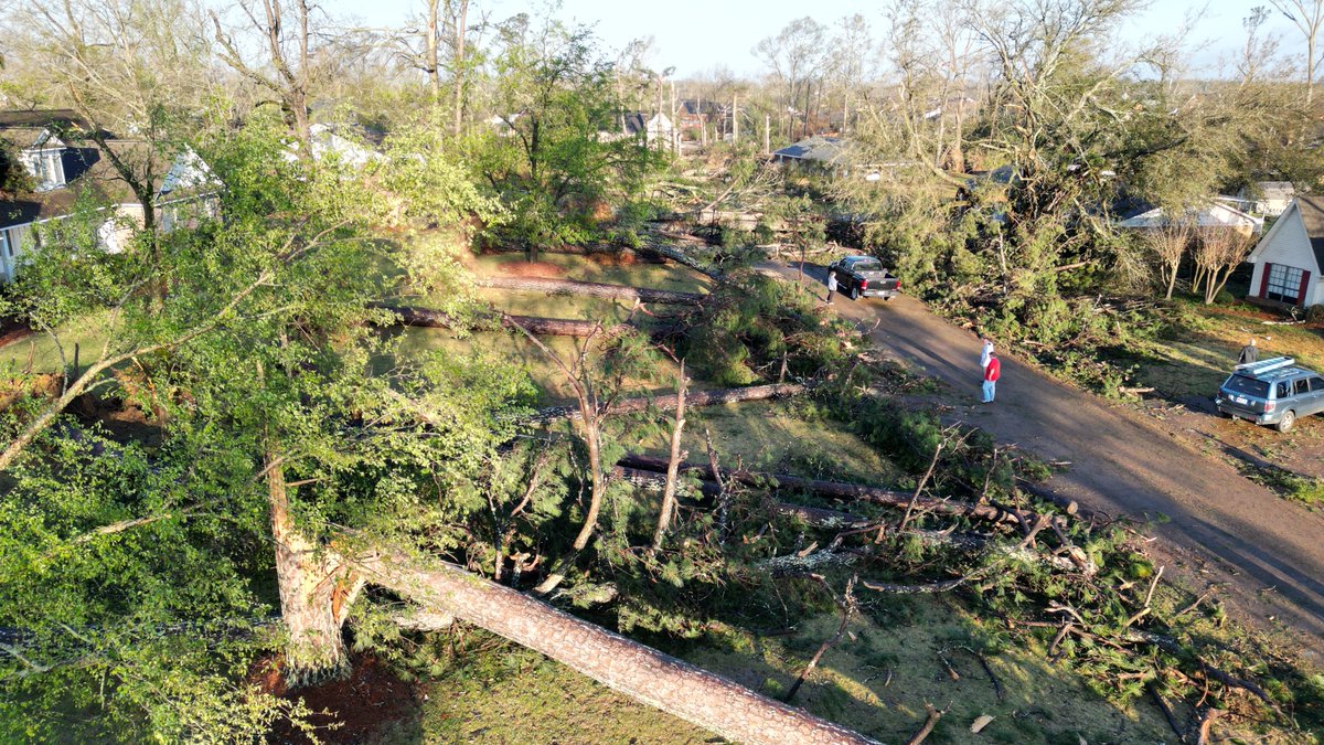 Rwall87's tweet photo. @SportsTalkMiss Another couple of views I got from above. These are 90-110yr old pines, snapped, twisted, and uprooted. It is absolutely unreal. We were right on the edge of the path. Further west and north is a disaster. Sports complex at high school is destroyed. https://t.co/bH9EnRL5zB