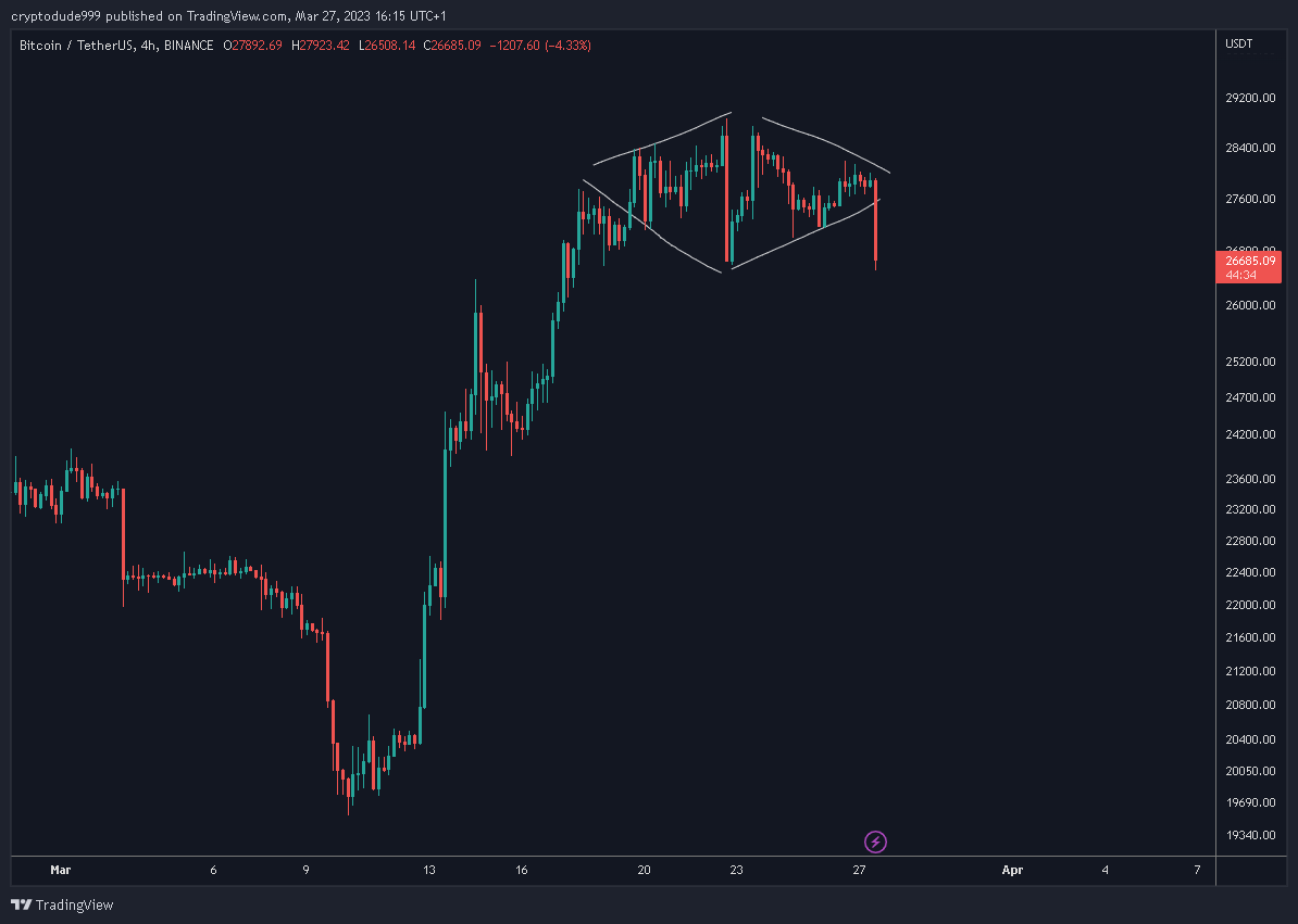 the dude tweet media