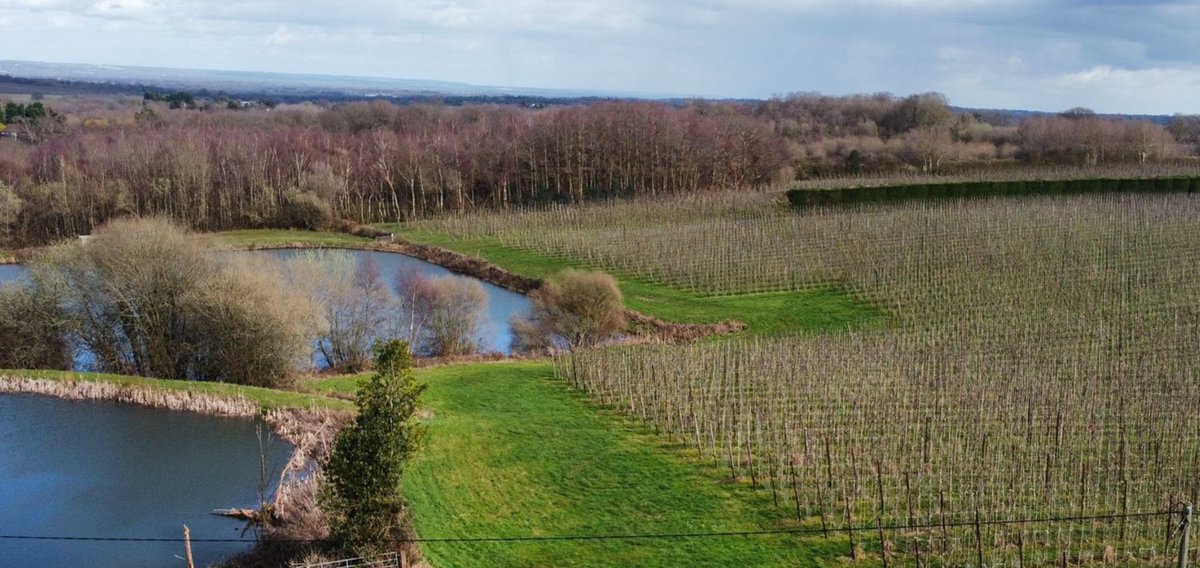 Easter Holidays and Budding Walks! - mailchi.mp/charringtonsdr…

#charringtonsdrinks
#easter
#easteregghunt
#budwatch
@the_hopbine
@halfwayhousebrenchley
@thelittlebullcafe
@thechequerslamberhurst