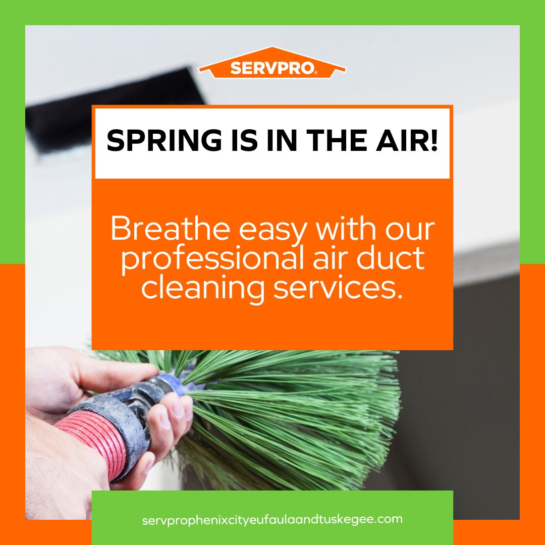 Spring is in the air! 🌷

Breathe easy with our professional air duct cleaning services. Give us a call today!