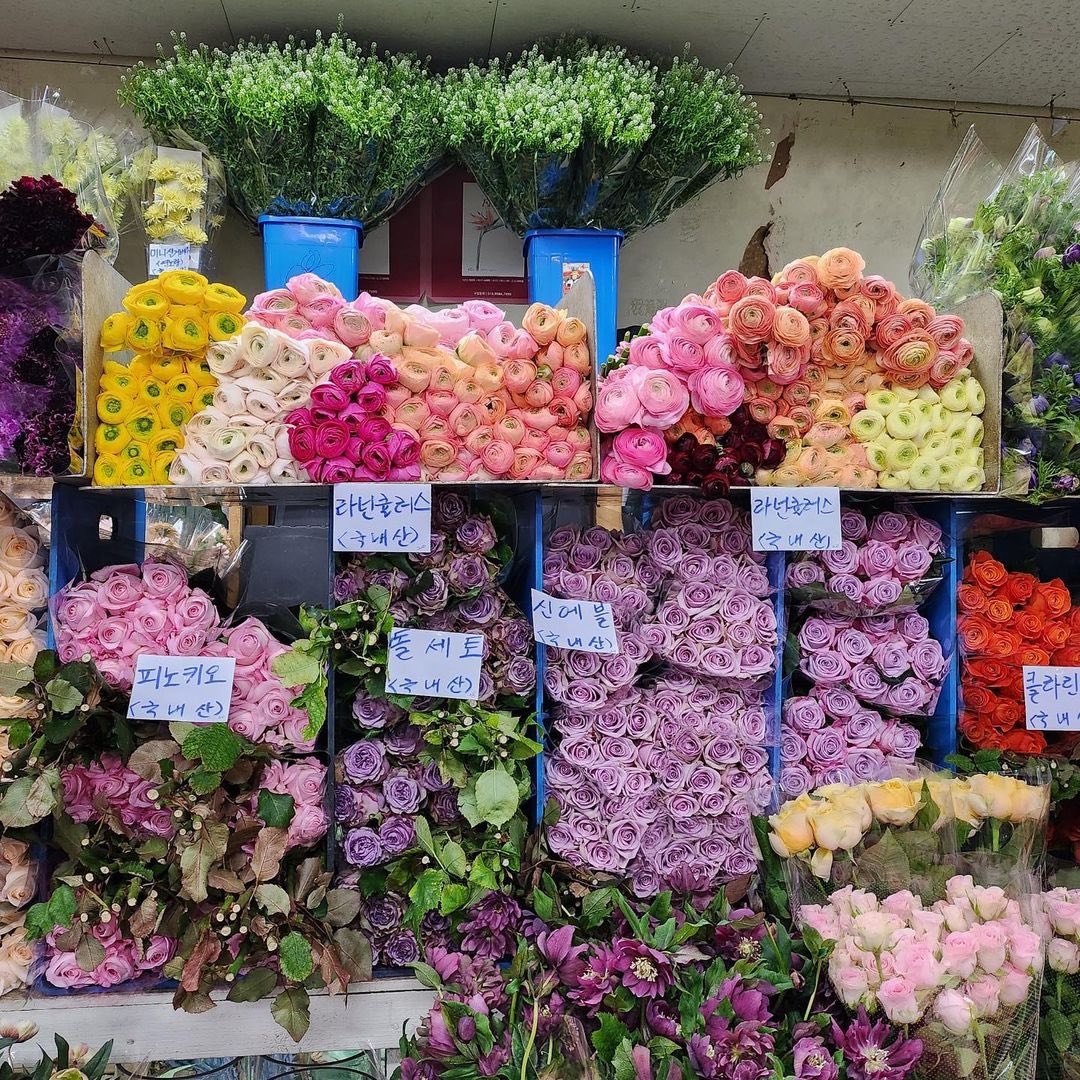 한희꽃상사  ✿
꙳⊹₍ ᭼˓˳᭼ ₎ᶜᵘᵗᵉ