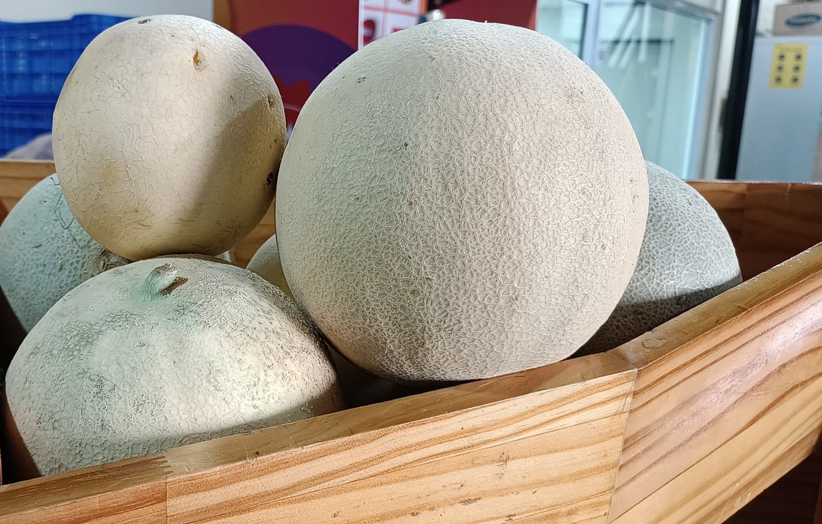 ފ.ދަރަނބޫދޫ އިން ތާޒާ މެލަން (ރޮކް މެލަން) ޝިޕްމެންޓެއް މިއަދުވަނީ ލިބިފަ! 😀
ހޯލް ސޭލް: 35 ރުފިޔާ (5 ކިލޯއިން ފެށިގެން)
އޯޑަރު ކޮށްލެއްވުމަށް 3012640 އަށް ގުޅުއްވާލައްވާ، ނުވަތަ 7291130 ވައިބާރ ކޮށްލައްވާ!
💯% #DhivehiUfehdhun 🌱