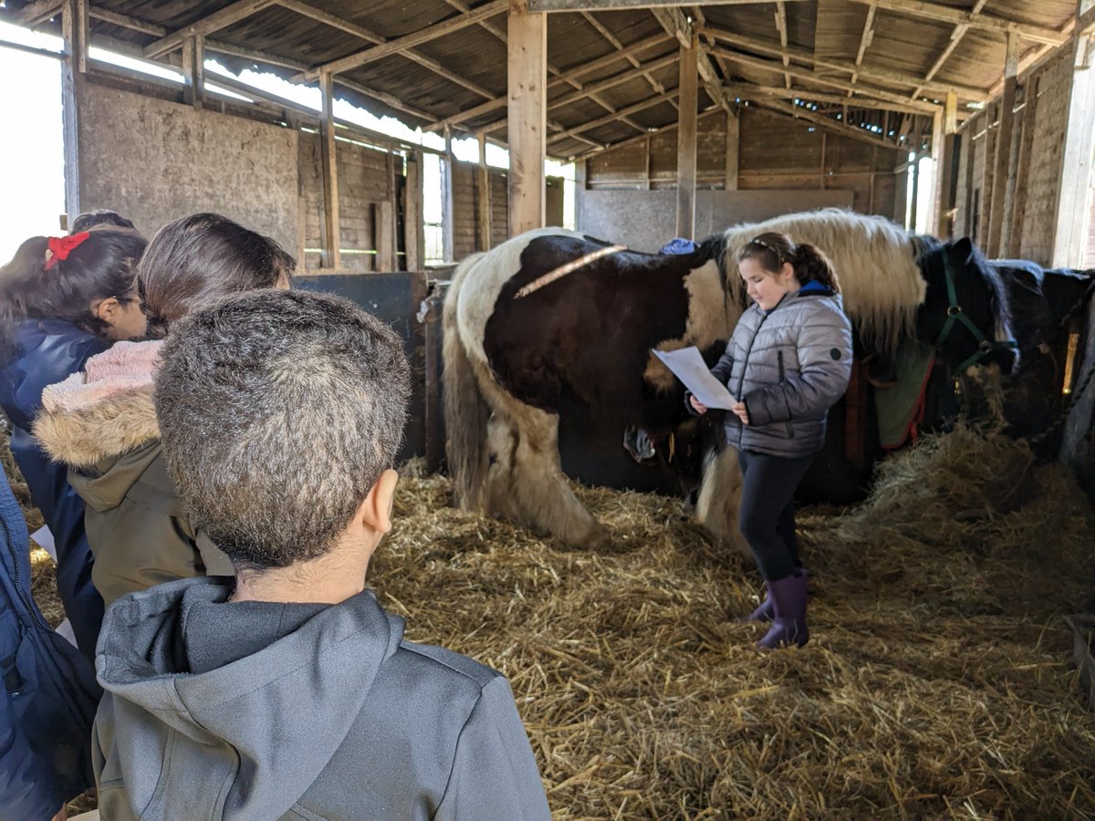 StreetWellbeing's tweet photo. It was the last session today for our group @shylowen. The children gave a presentation to the group about their horse.  @PleasantStPrim https://t.co/zvpSSuYTON