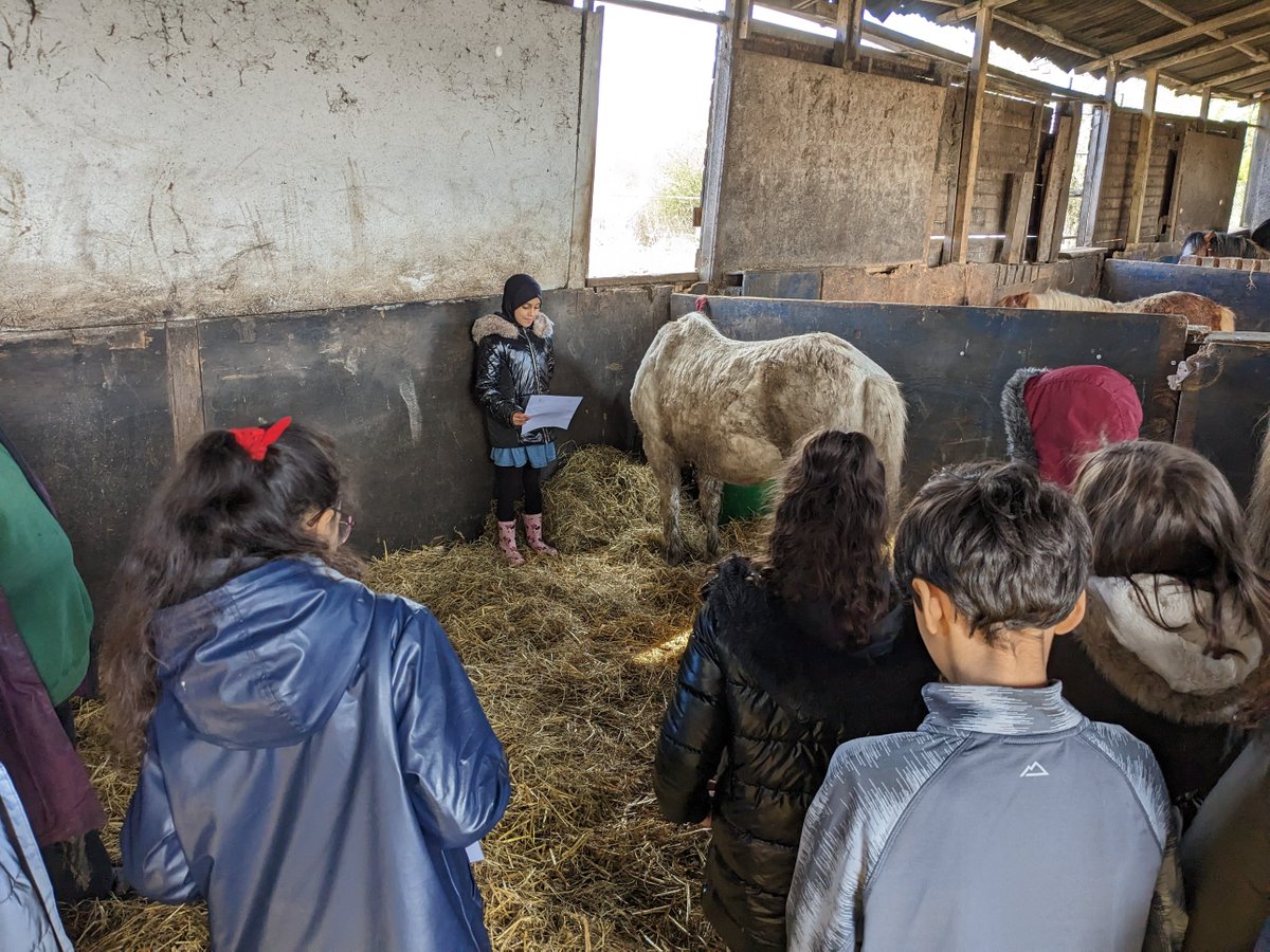 StreetWellbeing's tweet photo. It was the last session today for our group @shylowen. The children gave a presentation to the group about their horse.  @PleasantStPrim https://t.co/zvpSSuYTON