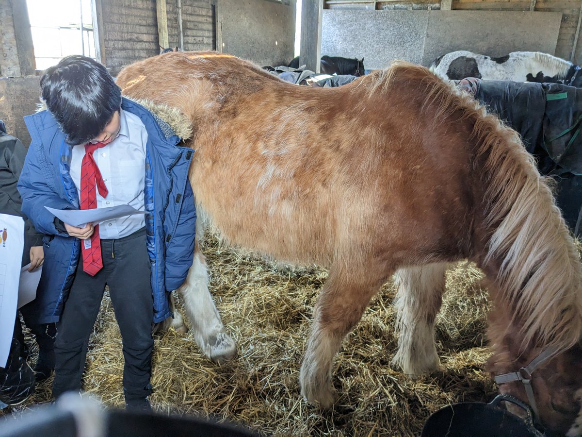 It was the last session today for our group <a href="/shylowen/">Shy Lowen Sanctuary</a>. The children gave a presentation to the group about their horse.  <a href="/PleasantStPrim/">PleasantStreet</a>