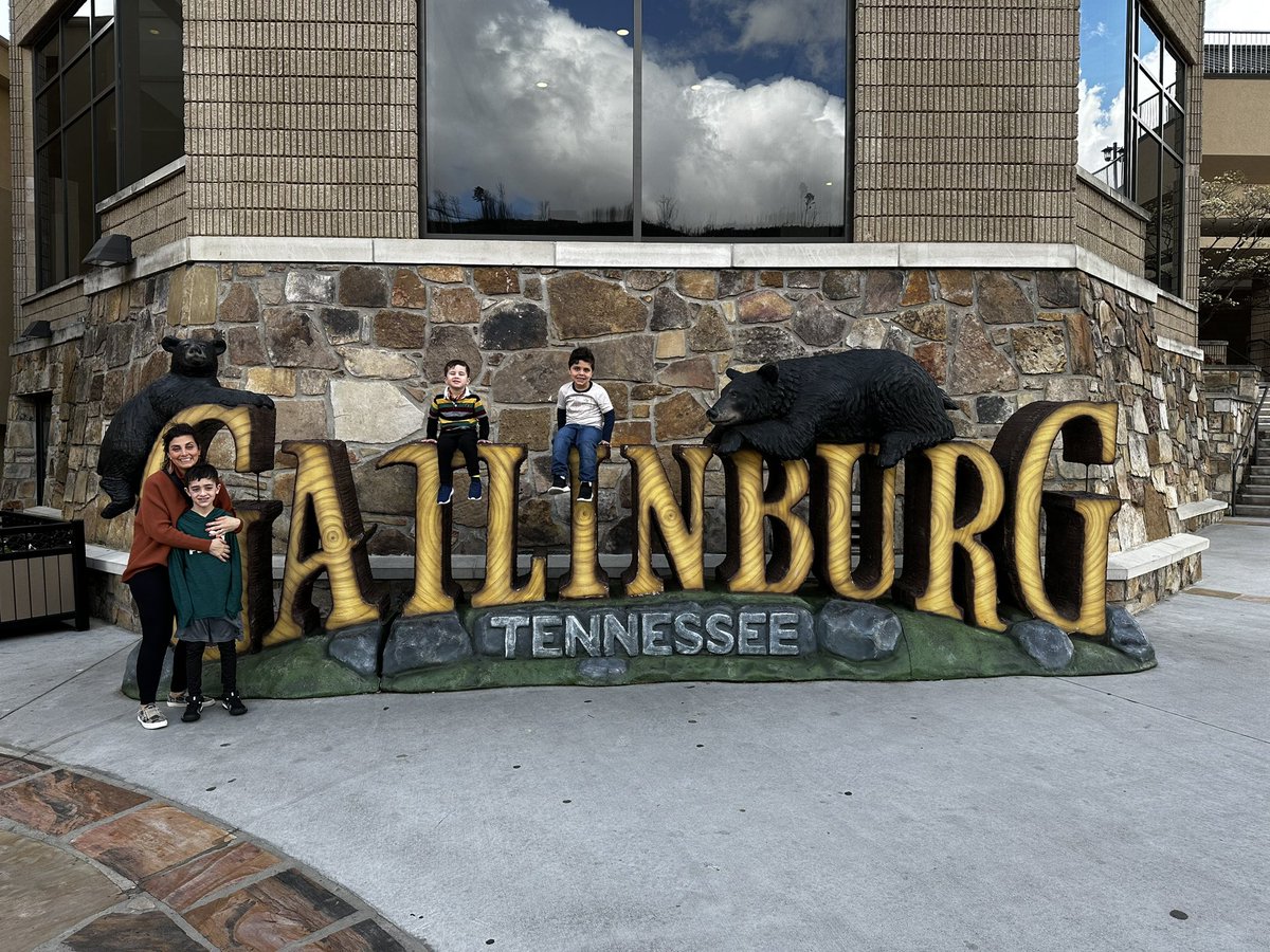 Tracey Ratner tweet media