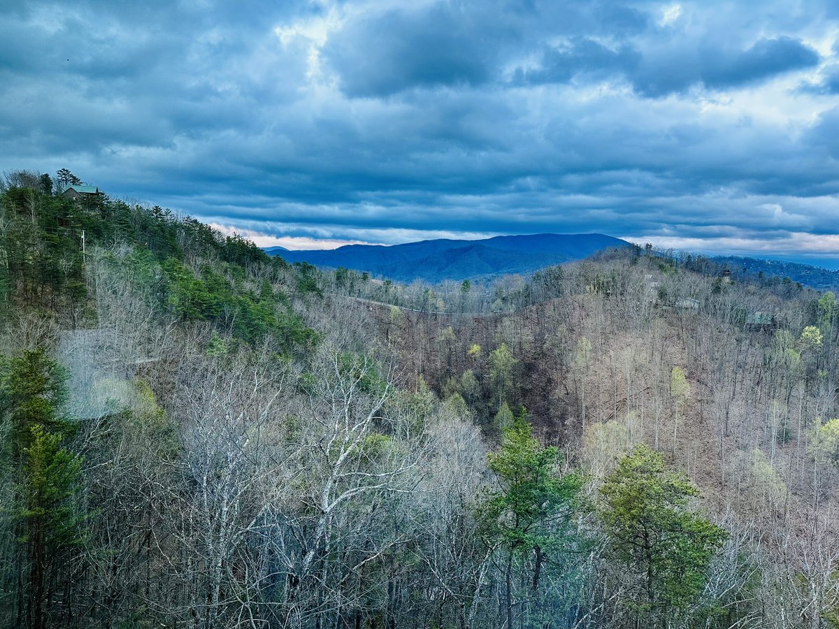 Tracey Ratner tweet media