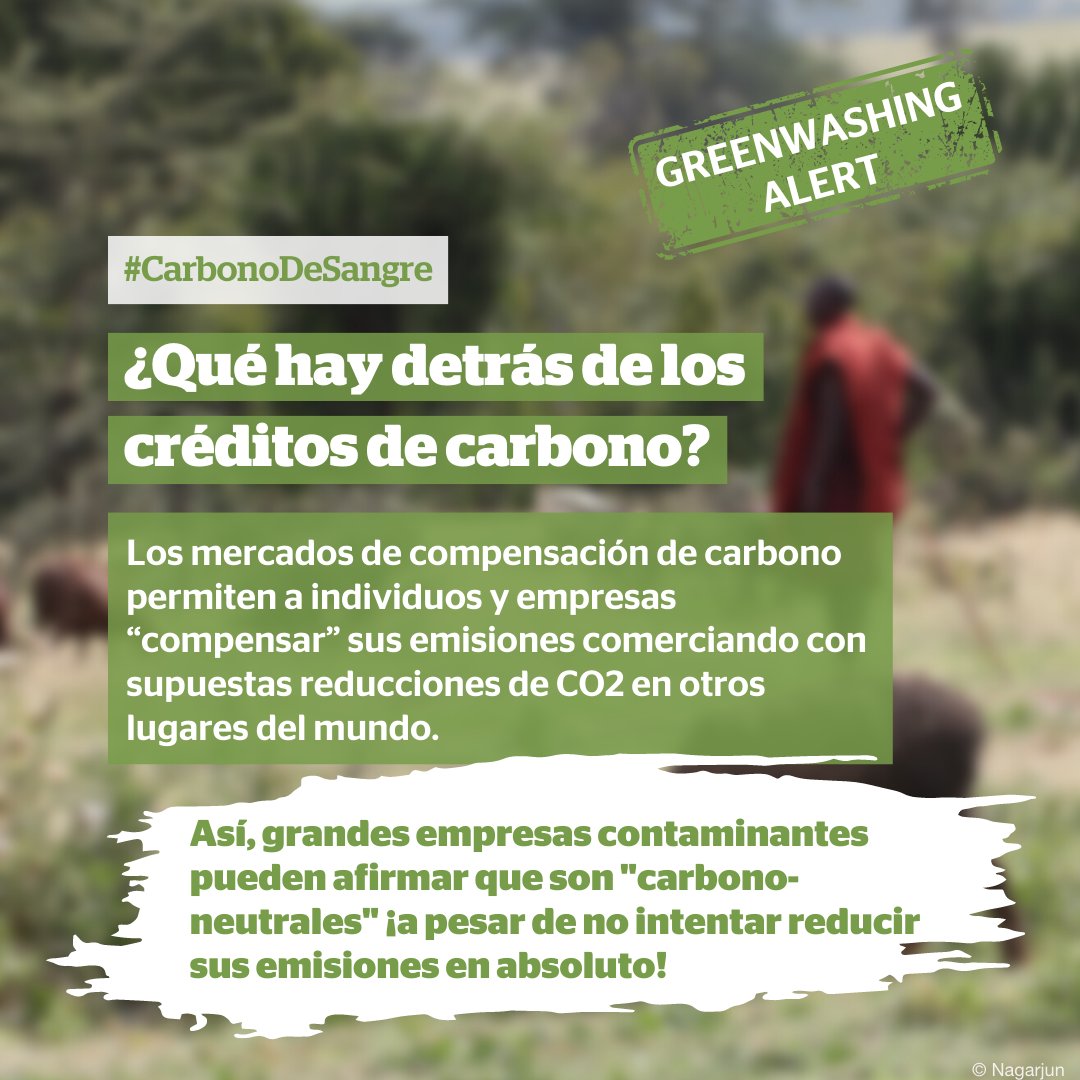 survivalesp's tweet photo. El mercado de #CréditosDeCarbono está en auge: un gran #GreenWashing por el que empresas contaminantes dicen "compensar" sus emisiones invirtiendo en supuestos proyectos de reducción de CO2 en otras partes del mundo, pero sin hacer NADA por reducir sus emisiones🌬️👇 https://t.co/AhOUSdc8bU