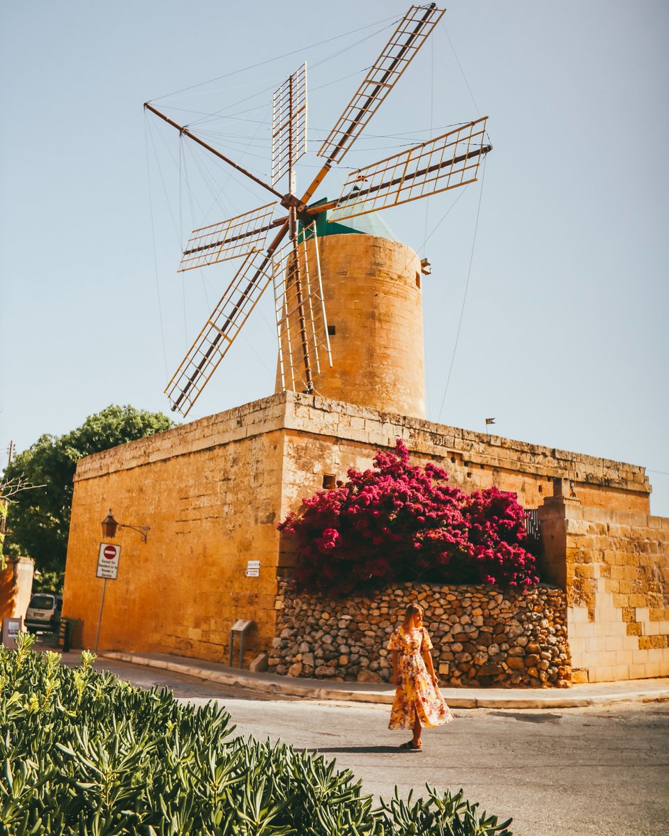 📍 Molino de viento de Ta'Kola, Xaghra, Gozo

Es uno de los pocos molinos de viento que hay en las islas maltesas, pues sus orígenes se remontan a 1725 coincidiendo con el período de los caballeros de San Juan. 🌬

¡No dudes en visitarlo para conocer su interesante historia! 🧐