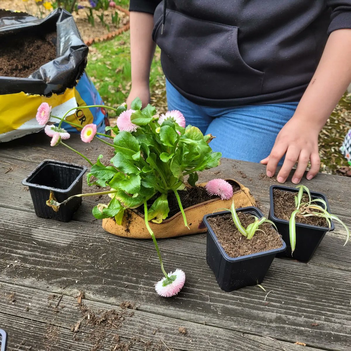 0762679z's tweet photo. Semaine du #developmentdurable . Atelier #jardinage. Rempotage de fleurs dans de vieux cartables et trousses.
#Transition écologique #CESC https://t.co/aKBJ7APODD