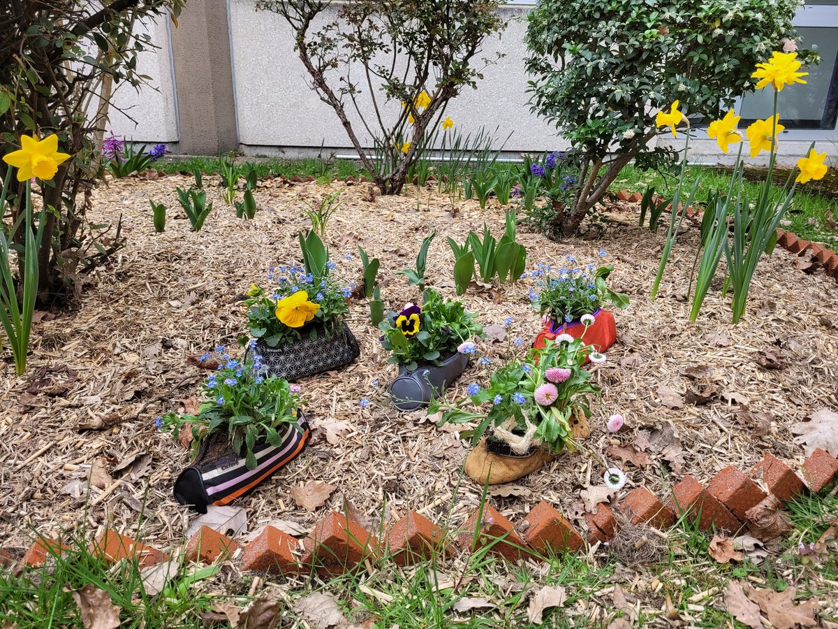 0762679z's tweet photo. Semaine du #developmentdurable . Atelier #jardinage. Rempotage de fleurs dans de vieux cartables et trousses.
#Transition écologique #CESC https://t.co/aKBJ7APODD