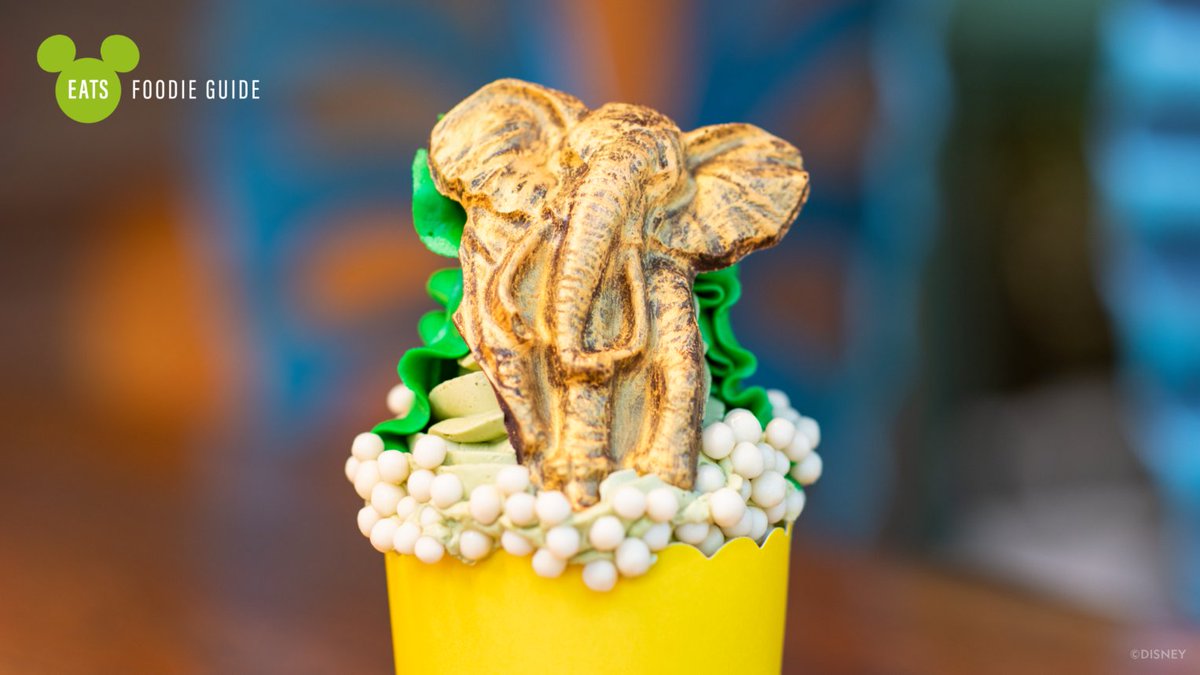 DisneyParks tweet picture
