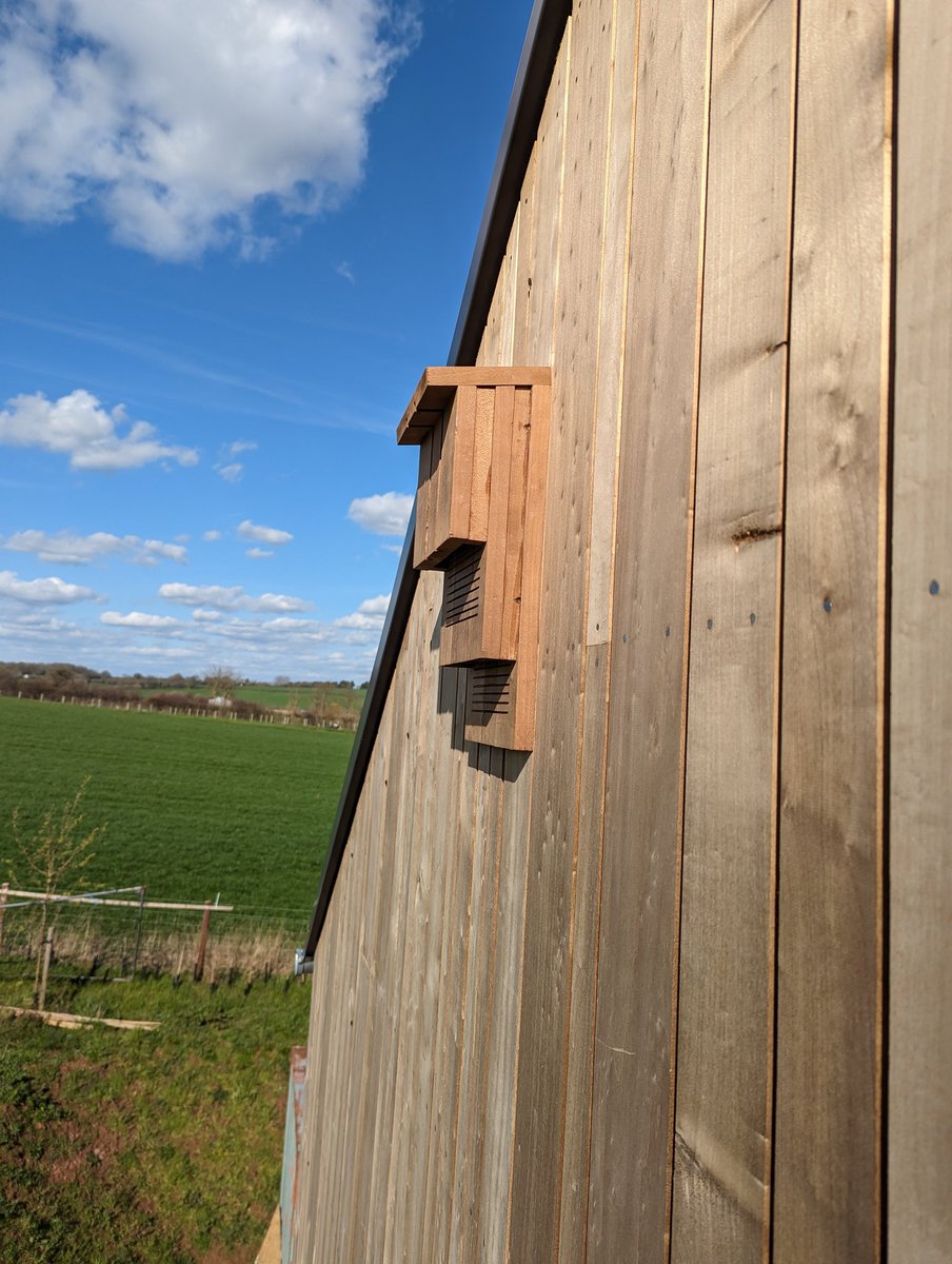 finlaySimpson11's tweet photo. Last few snagging jobs to finish today including putting up Oli's bat boxes.
Probably my last day on this job unless I'm back for the snagging of the snagging.
Everyone is pretty chuffed with the way this one has turned out!
#carpentry #passivhaus #mwconstruction #architype https://t.co/Uj04gcSXd4