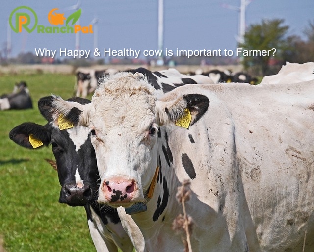 Ranchpal tweet media