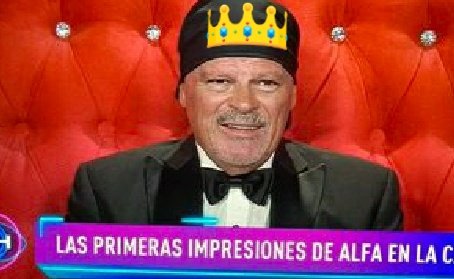 dedicado_AR's tweet photo. Alfa nuestro protagonista 👏👏👏 #GranHermanoArgentina https://t.co/3POfMZQHsl