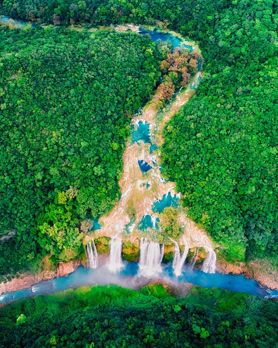 civitatis_en's tweet photo. Today we're traveling to the Tamul waterfall in San Luis Potosi, Mexico! This stunning natural wonder boasts crystal clear turquoise water cascading down a towering 105-foot waterfall, surrounded by lush greenery and towering cliffs ⛰️🌿

Happy travels! ✨ https://t.co/flo6rWZz67